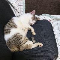 ヨシトモ 会員画像