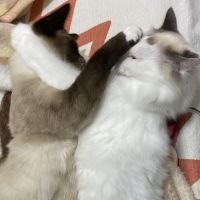 会員画像