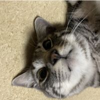 会員画像