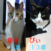 会員画像