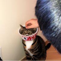 サクマユ 会員画像