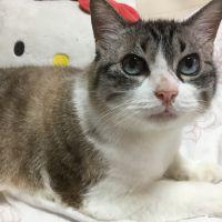 はるみるく 会員画像