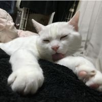 会員画像