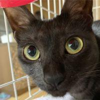 るなるな35 会員画像