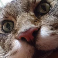 マヒロ 会員画像