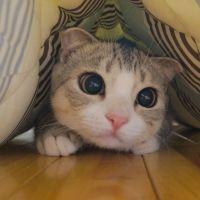 会員画像
