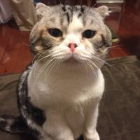 きじっ娘 会員画像