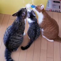 蟻三郎 会員画像