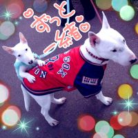 ゆりささん
