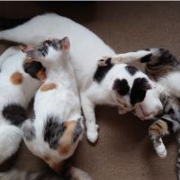 なまみ 会員画像