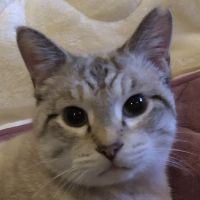 おばば様 会員画像