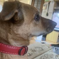 会員画像
