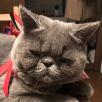 会員画像