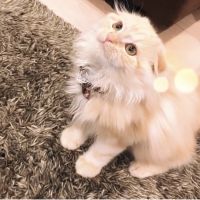 nana0724 会員画像
