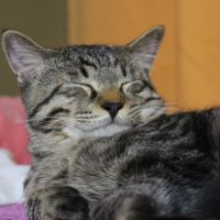 どおも! 会員画像