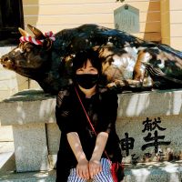 チャッティ 会員画像