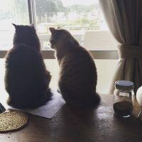 会員画像