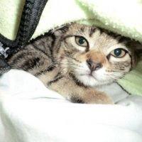 myu21 会員画像