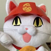 猫はなこ 会員画像