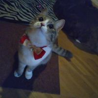 のの様 会員画像