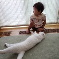 きゃちゃ 会員画像