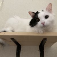 たまき家さん