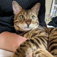 自虐ウサギさん