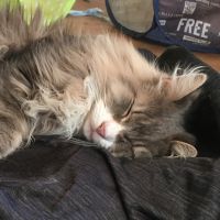 まーさーと 会員画像