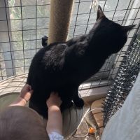 ちこちゃさん