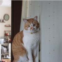 ミユ𖤐 ̖́- 会員画像