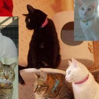 mirukuan 会員画像