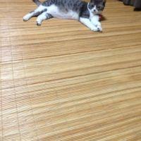会員画像