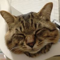 まふさん