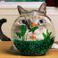 猫丞三郎