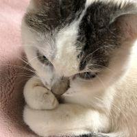 ろくたんジィジ 会員画像