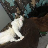 まっぷん 会員画像