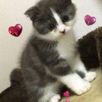 ♡めぐらぃと 会員画像