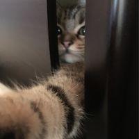 会員画像