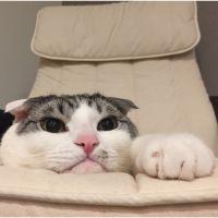 会員画像