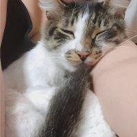 みはる!! 会員画像