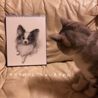 さくら&ひまり 会員画像