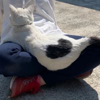 会員画像