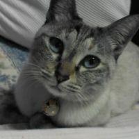 くり〜む 会員画像