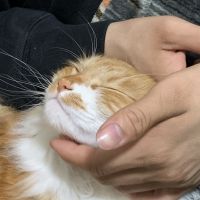 まめちゃんママ 会員画像