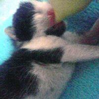 りかこ 会員画像