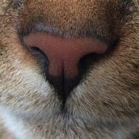 会員画像