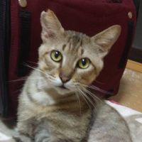 会員画像