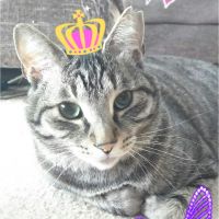 四葉愛符♪さん