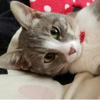 mii1711 会員画像