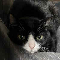 ブール 会員画像